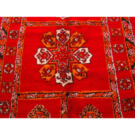 Carpet Malik